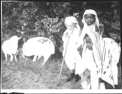 herivel_zambia_10.jpg herivel_zambia_10.jpg